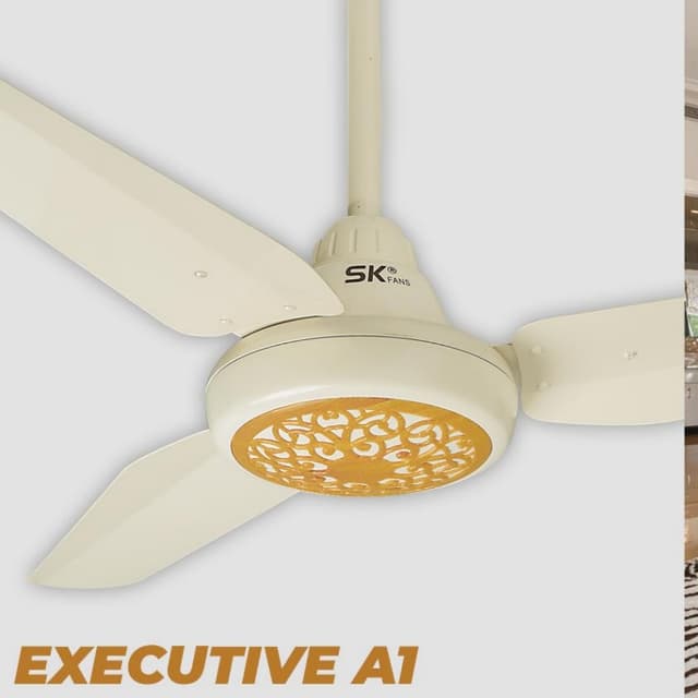 Executive Sk Fans